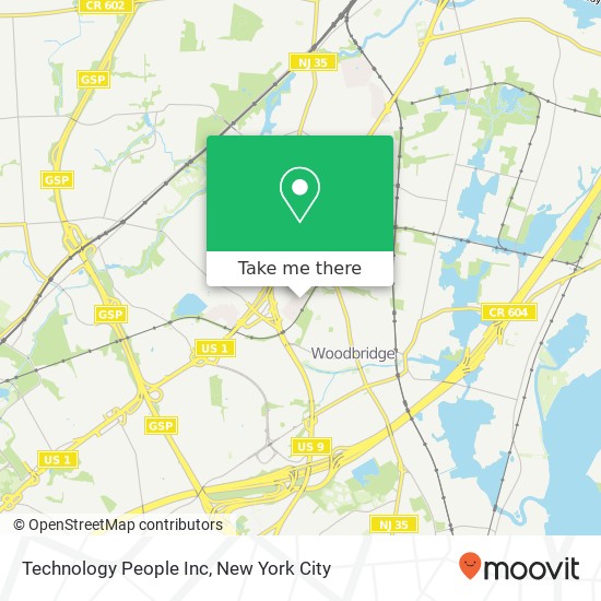 Technology People Inc map