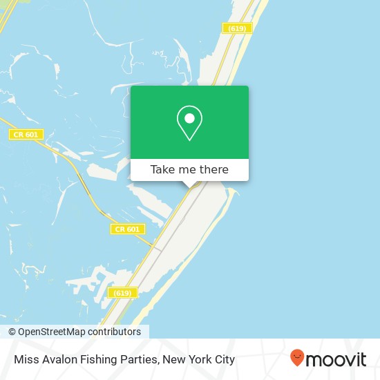 Miss Avalon Fishing Parties map