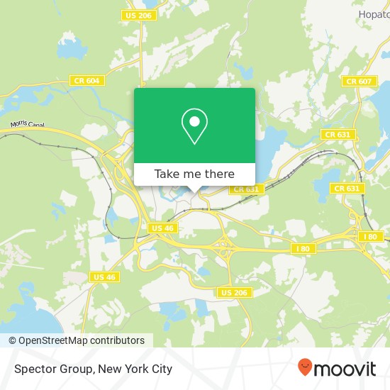 Mapa de Spector Group