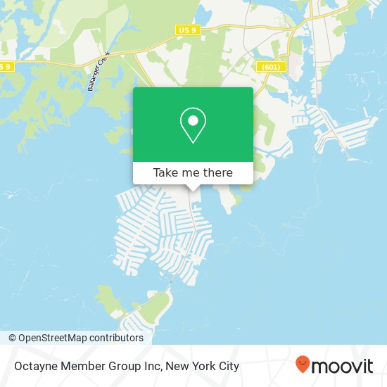 Mapa de Octayne Member Group Inc