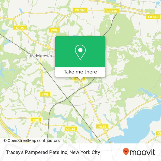 Tracey's Pampered Pets Inc map