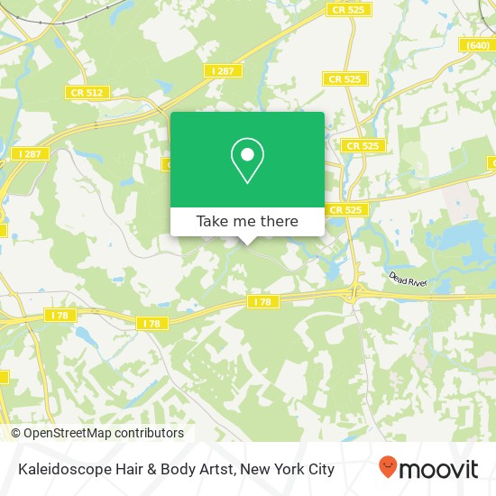 Kaleidoscope Hair & Body Artst map