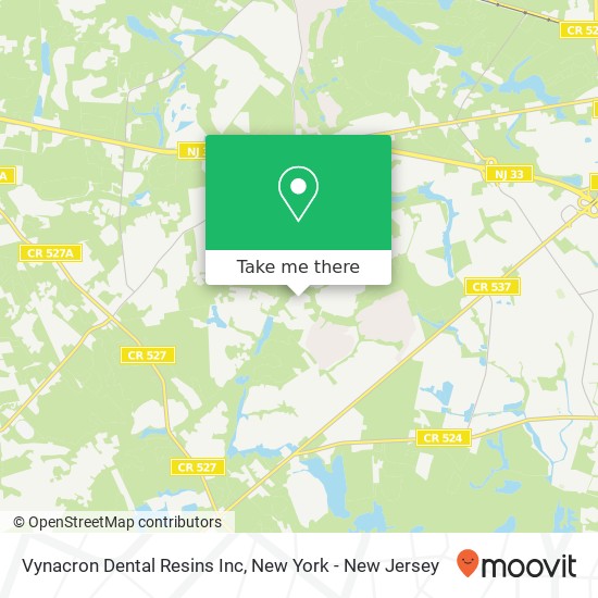 Vynacron Dental Resins Inc map