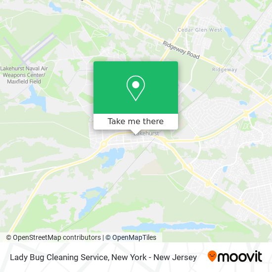 Lady Bug Cleaning Service map