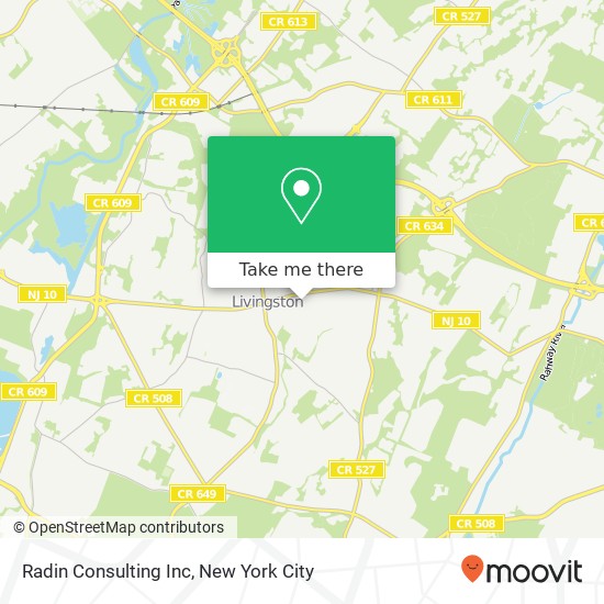 Radin Consulting Inc map