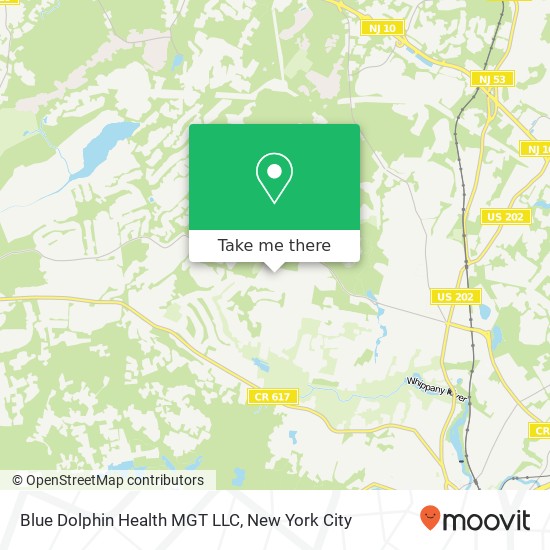 Mapa de Blue Dolphin Health MGT LLC