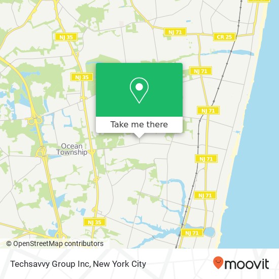 Techsavvy Group Inc map