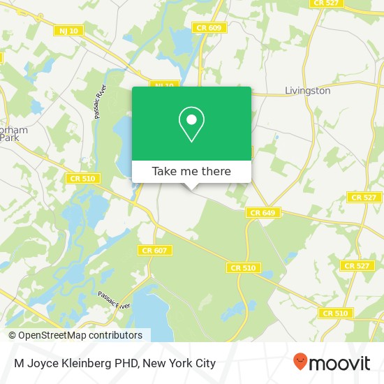 M Joyce Kleinberg PHD map