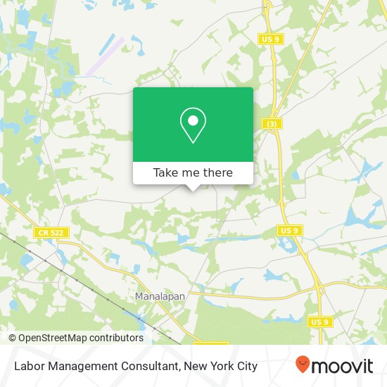 Mapa de Labor Management Consultant