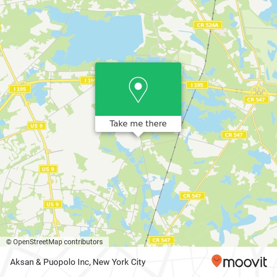 Aksan & Puopolo Inc map