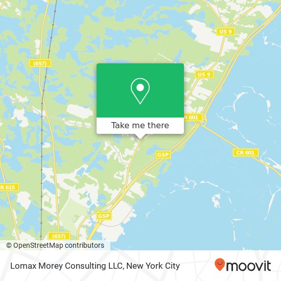 Lomax Morey Consulting LLC map