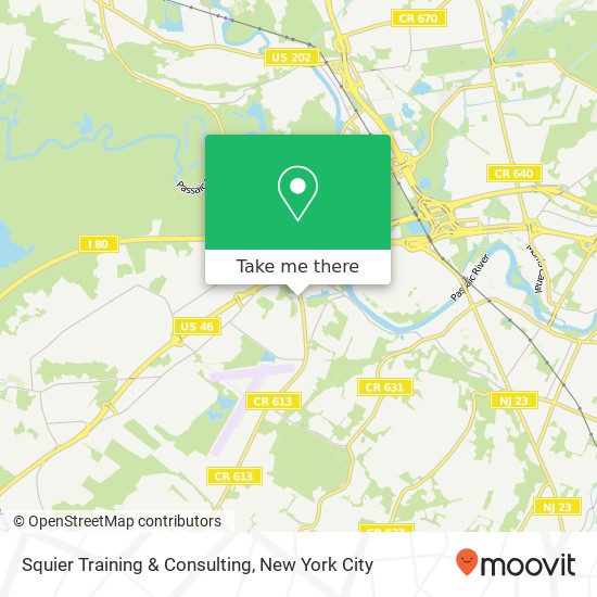 Squier Training & Consulting map