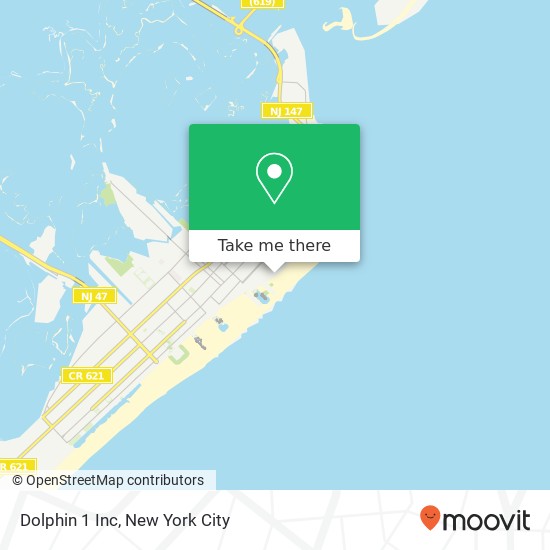 Dolphin 1 Inc map