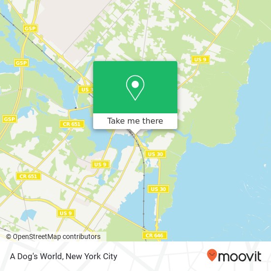 A Dog's World map