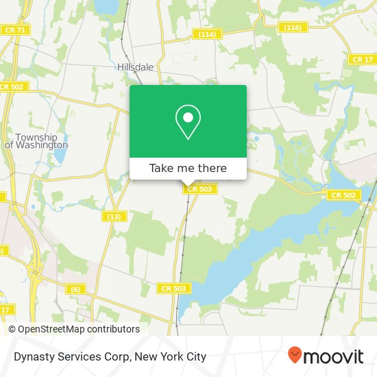 Dynasty Services Corp map