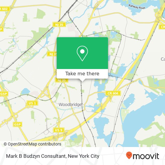 Mapa de Mark B Budzyn Consultant