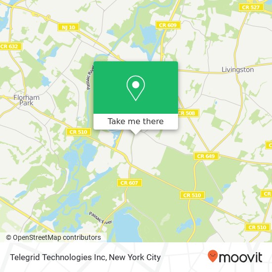 Telegrid Technologies Inc map