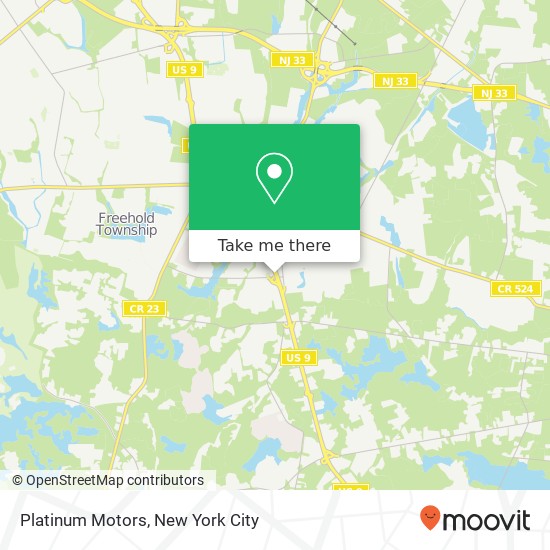 Platinum Motors map