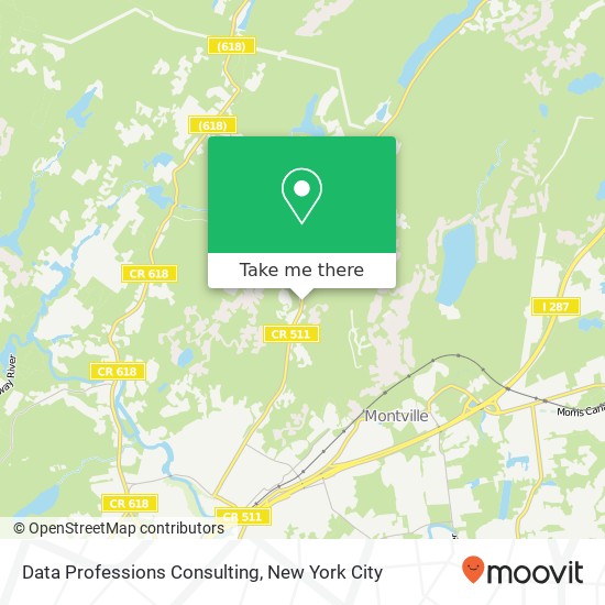 Data Professions Consulting map