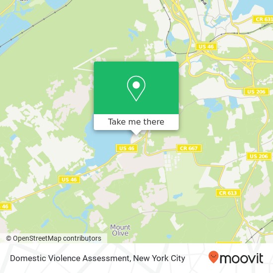 Domestic Violence Assessment map