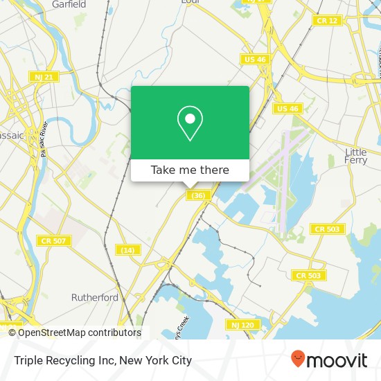 Triple Recycling Inc map
