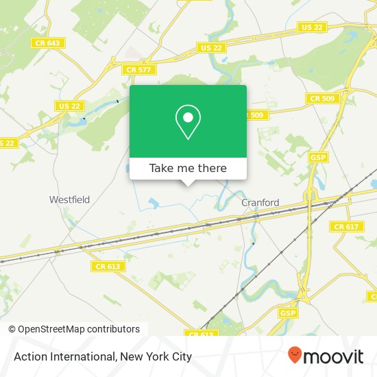 Action International map