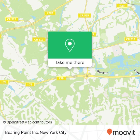 Bearing Point Inc map