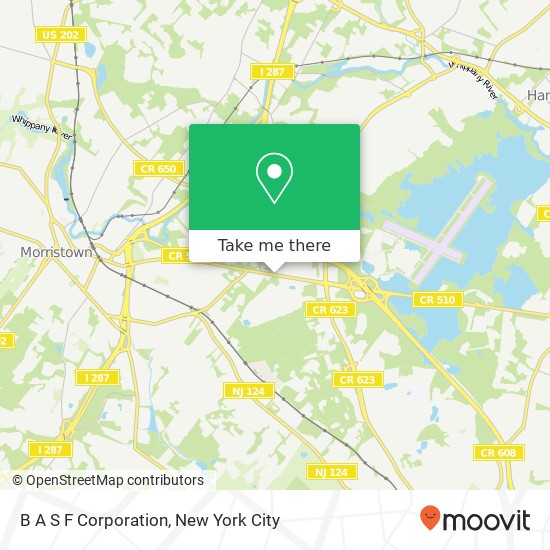 B A S F Corporation map