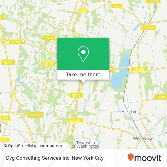 Dyg Consulting Services Inc map