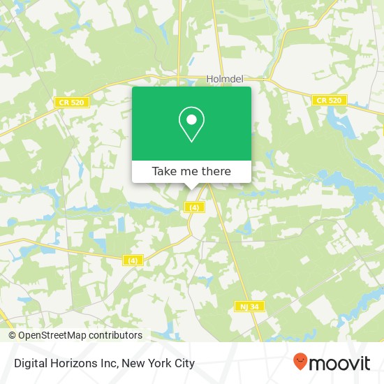 Digital Horizons Inc map