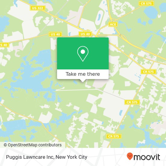 Mapa de Puggis Lawncare Inc