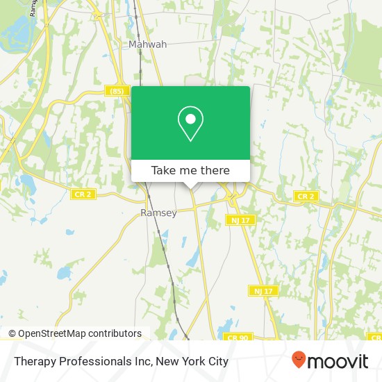 Therapy Professionals Inc map