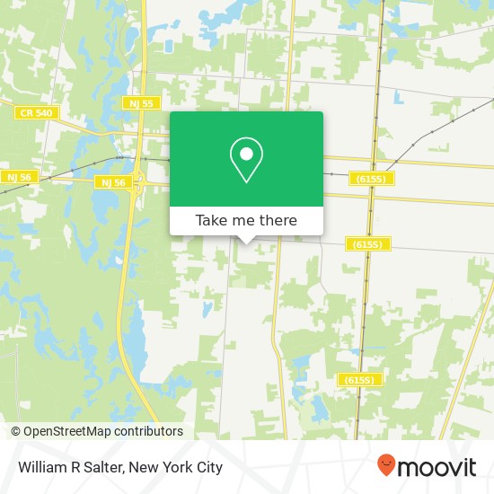 William R Salter map