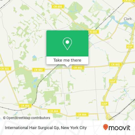 International Hair Surgical Gp map