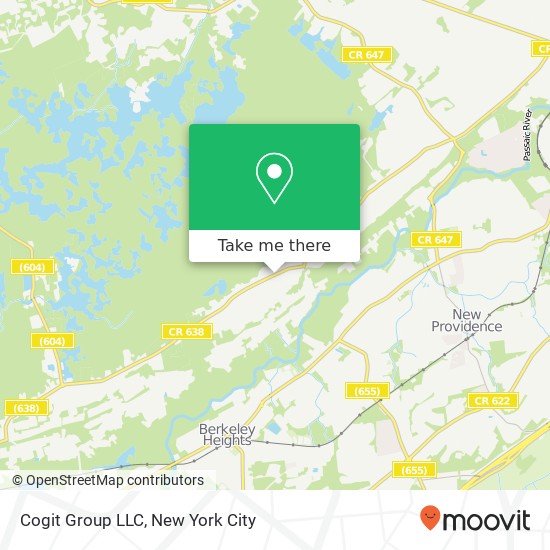 Cogit Group LLC map