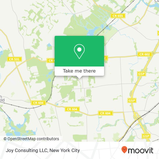 Joy Consulting LLC map