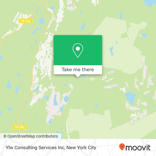 Ylw Consulting Services Inc map