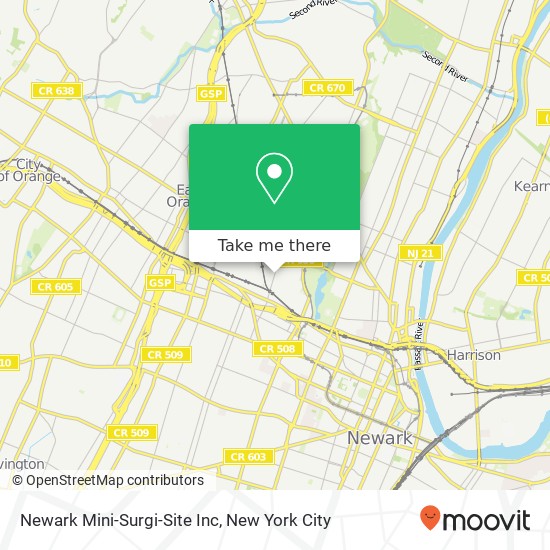 Mapa de Newark Mini-Surgi-Site Inc