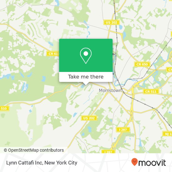 Lynn Cattafi Inc map