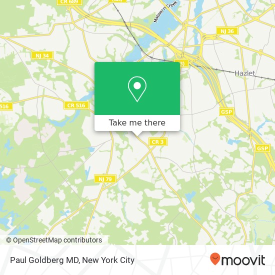 Paul Goldberg MD map