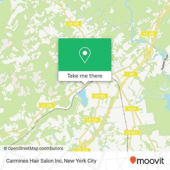 Carmines Hair Salon Inc map