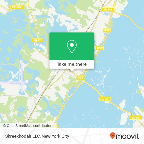 Shreekhodair LLC map