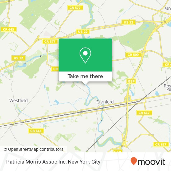 Mapa de Patricia Morris Assoc Inc