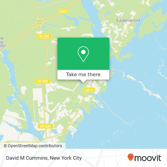 Mapa de David M Cummins