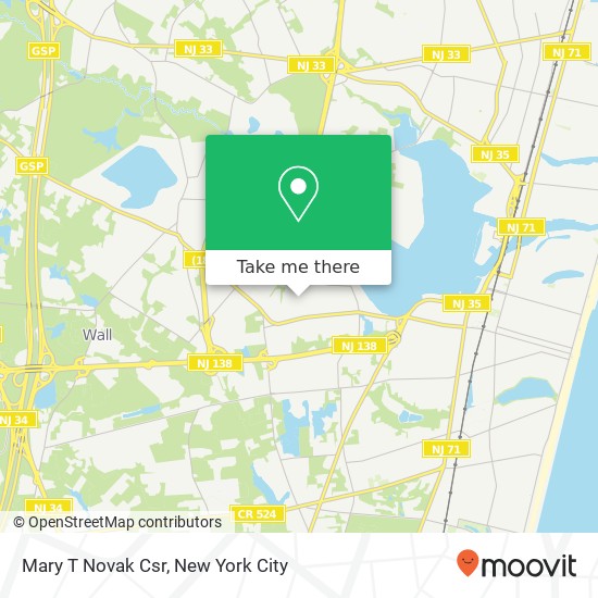 Mary T Novak Csr map