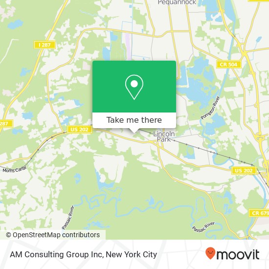 AM Consulting Group Inc map