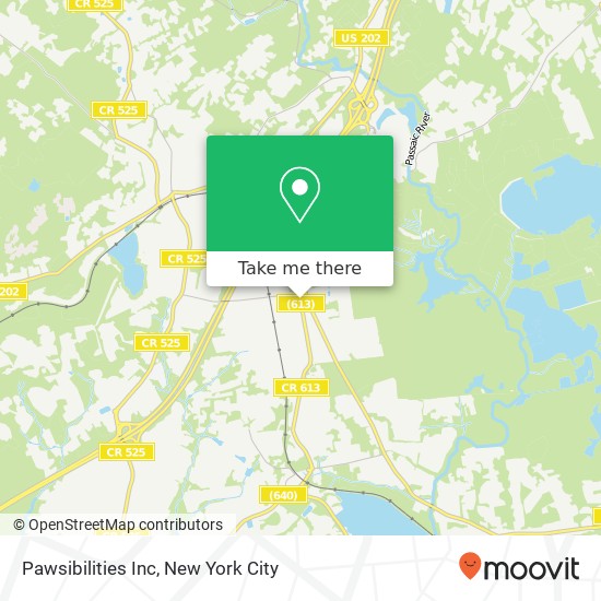 Pawsibilities Inc map