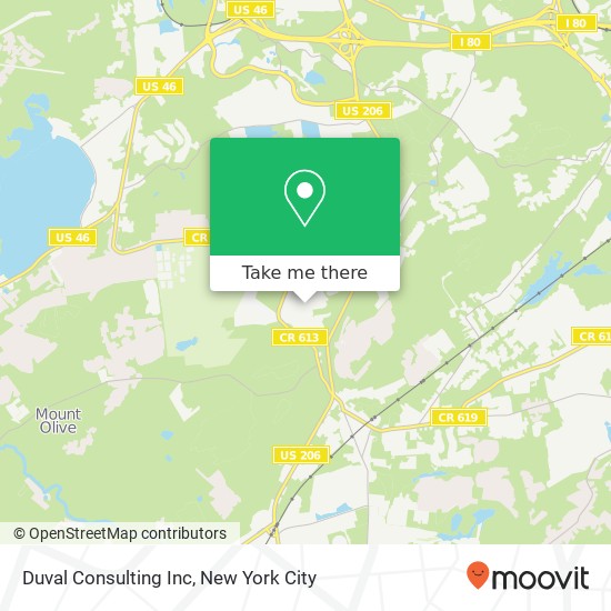 Duval Consulting Inc map