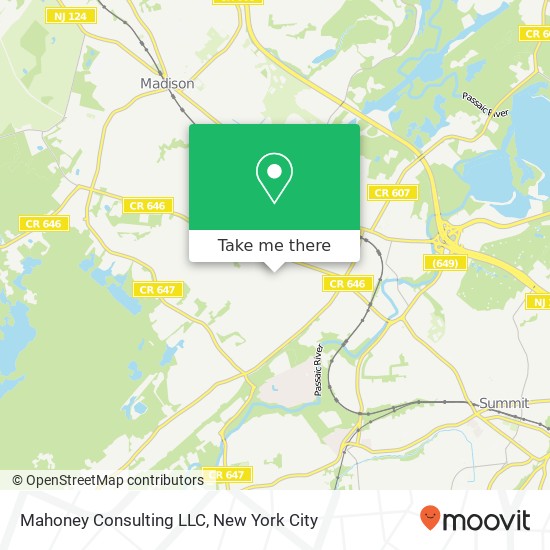 Mahoney Consulting LLC map