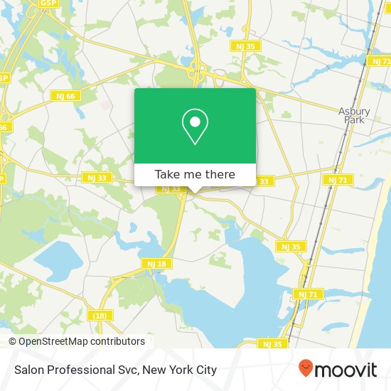 Salon Professional Svc map